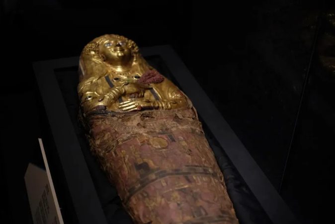 1635148102155482.png 7.png